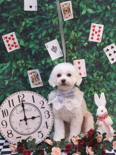 20250423ミルクくん